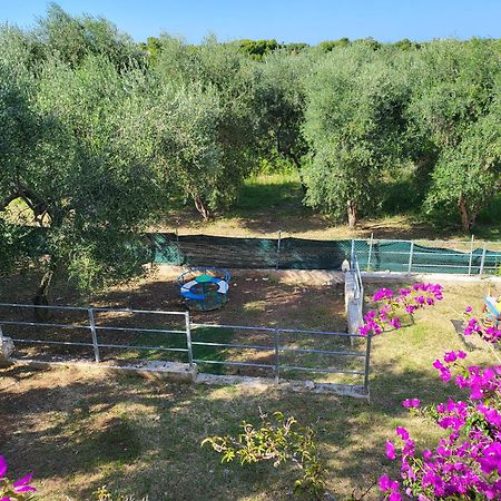 Residence Dolce Far Niente Vieste Exterior photo