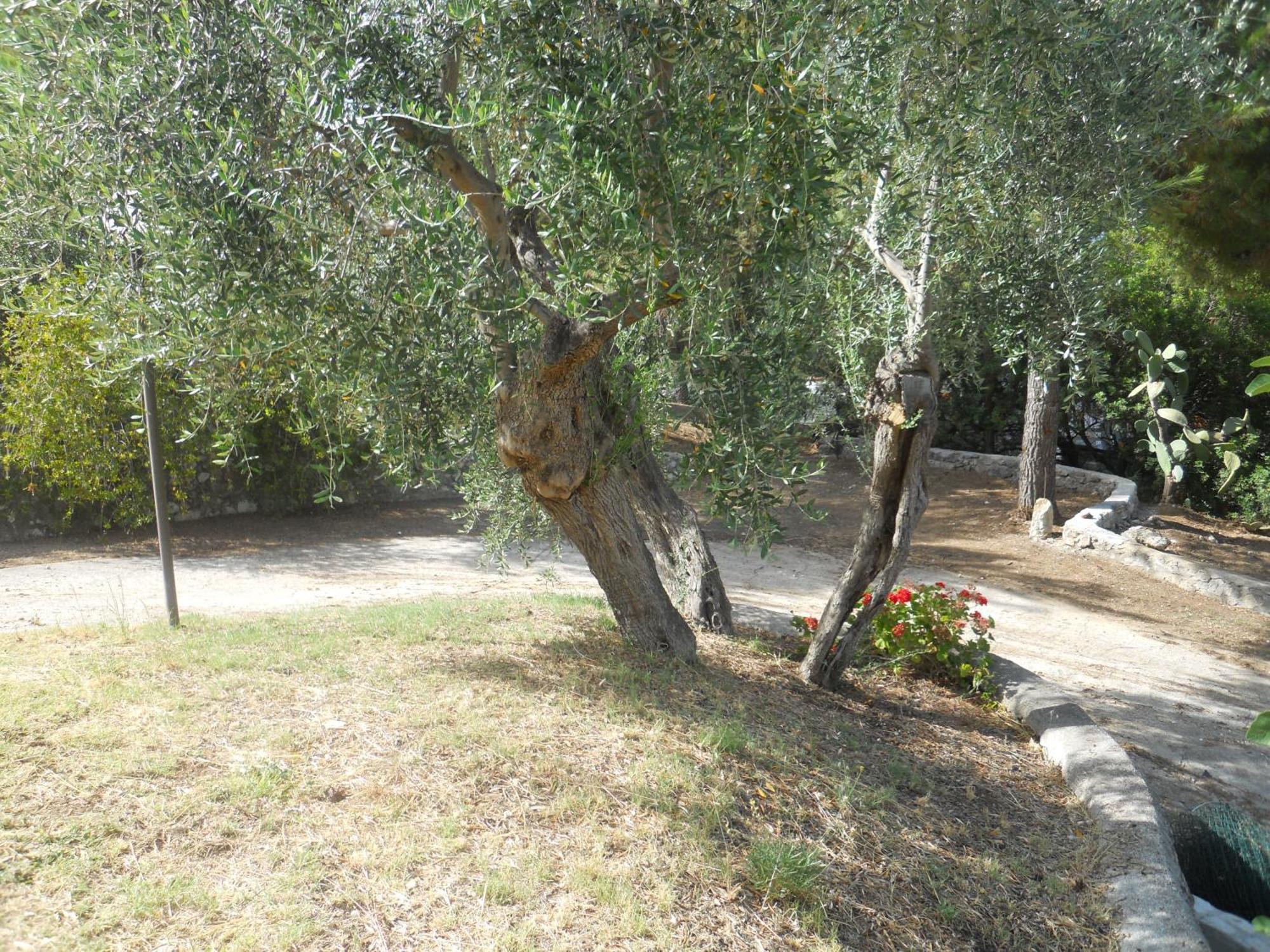 Residence Dolce Far Niente Vieste Exterior photo